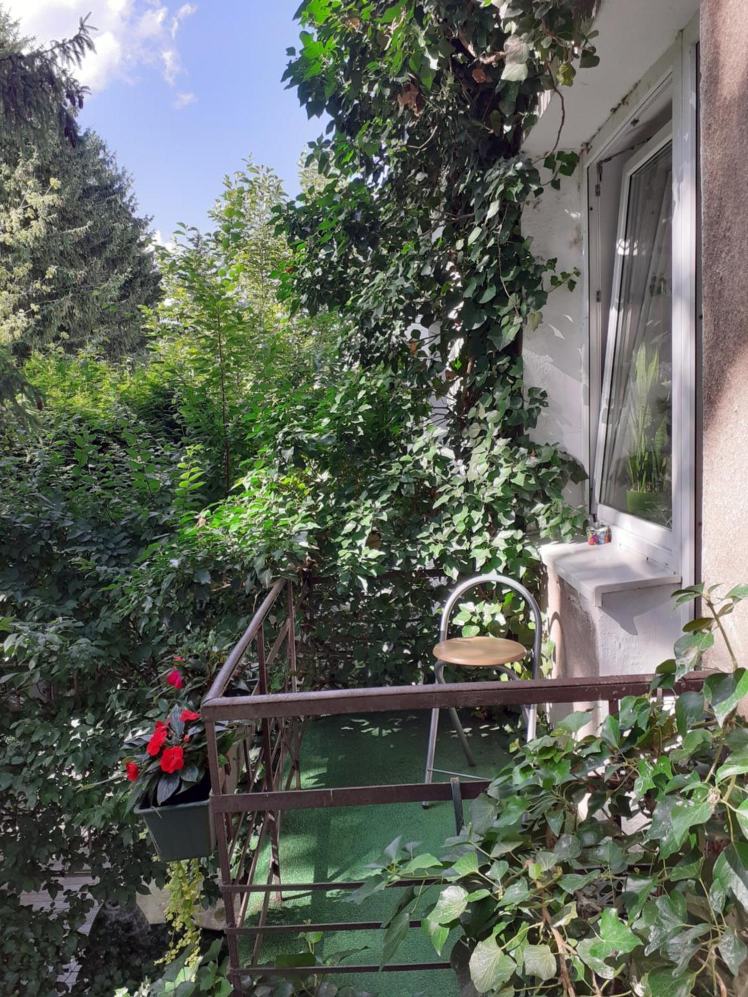 Animrumru Varşova Dış mekan fotoğraf
